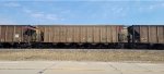 CEFX 600986